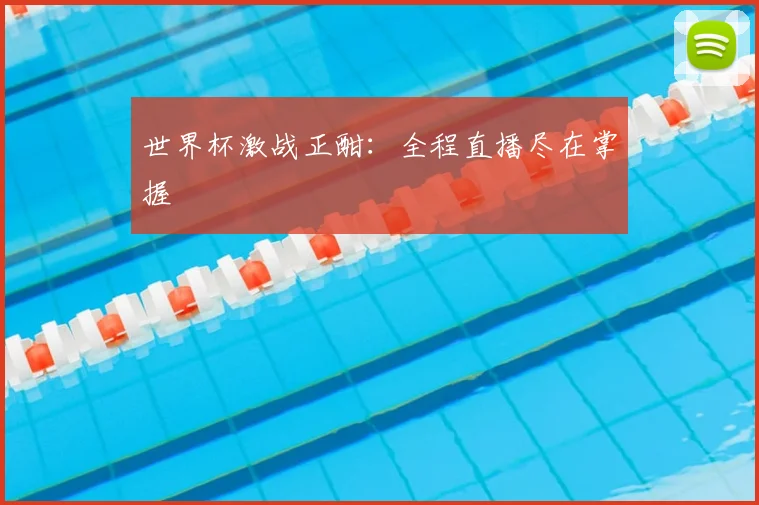世界杯激战正酣：全程直播尽在掌握